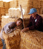 [Building with straw]